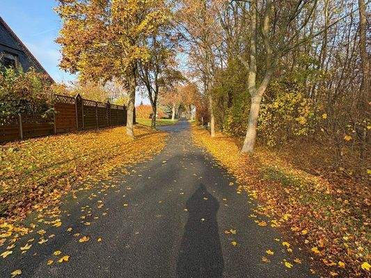 Spazierweg hinter dem Grundstück