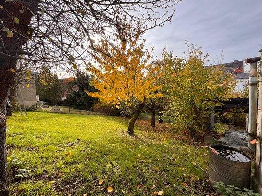 PHOTO-2025-12-23-17-51-11 3.jpg