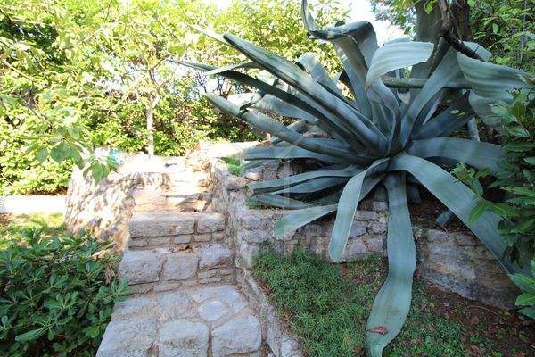 Wunderschöner Garten