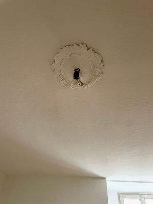 Schlafzimmer Deckenverzierung