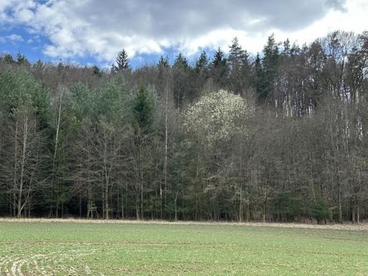 Bsp. Ansicht