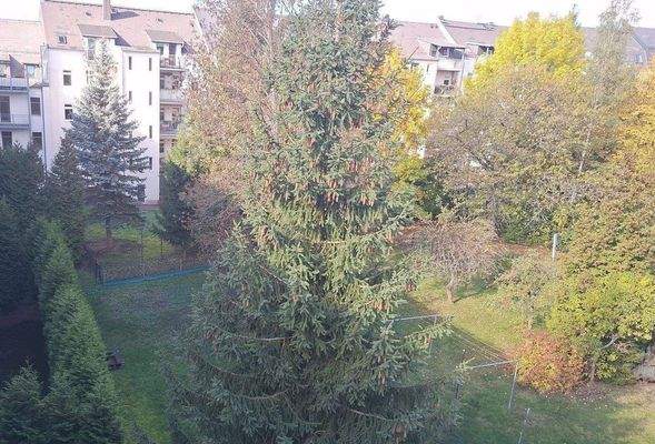 WhatsApp Image 2025-10-18 at 13.52.29 (2).jpeg