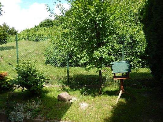 Garten Teilansicht 6785.JPG