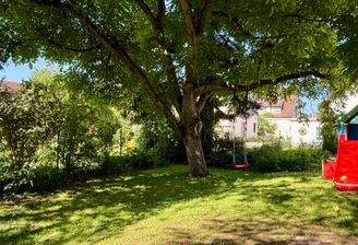 IMG_1725.jpg