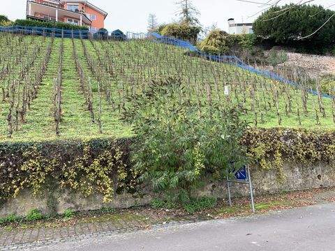 Alf Grundstücke, Alf Grundstück kaufen