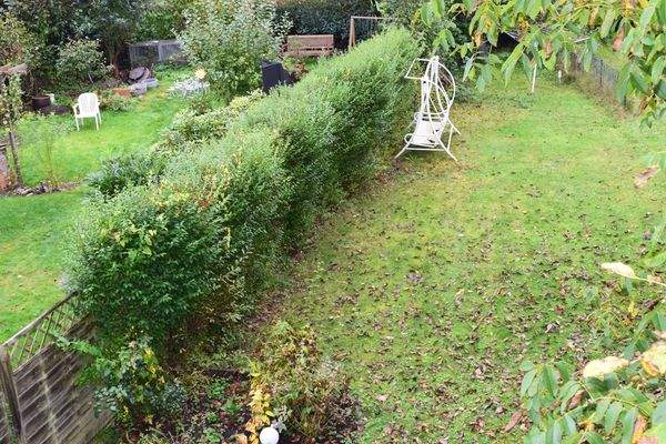 9056WI-17 Blick in den Garten