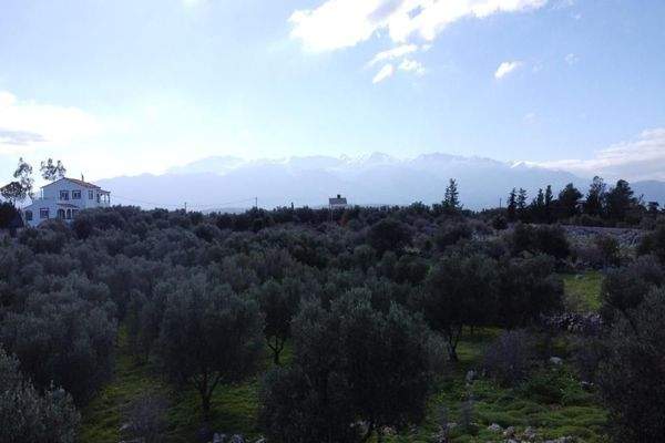 Kreta, Kokkino Chorio: Landschaftlich reizvolles Grundstück mit Meerblick zu verkaufen