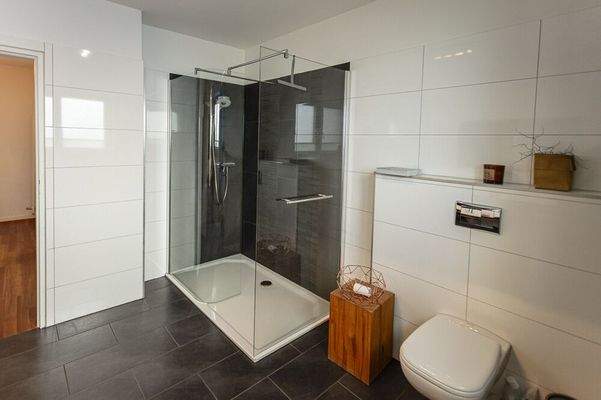 Badezimmer mit Dusche und WC (EG)