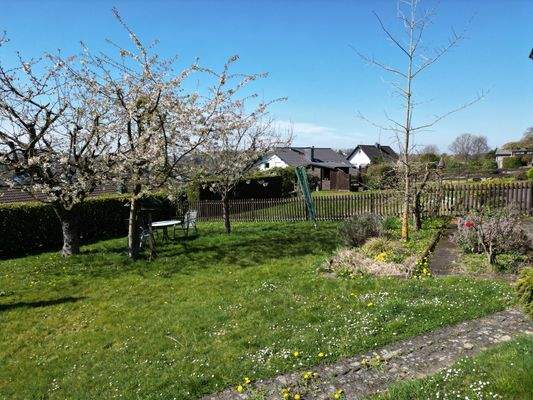 Teilansicht vom Garten 