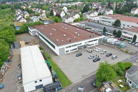 Kronberg Halle, Kronberg Hallenfläche