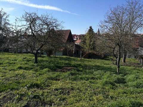 Bad Langensalza Häuser, Bad Langensalza Haus kaufen