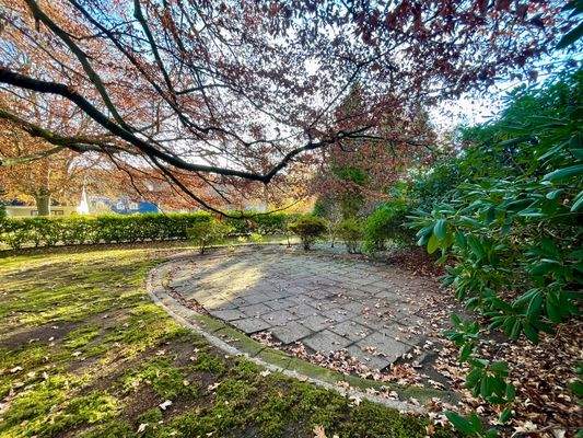 Baumfällung im Bauvorbescheid vorgesehen