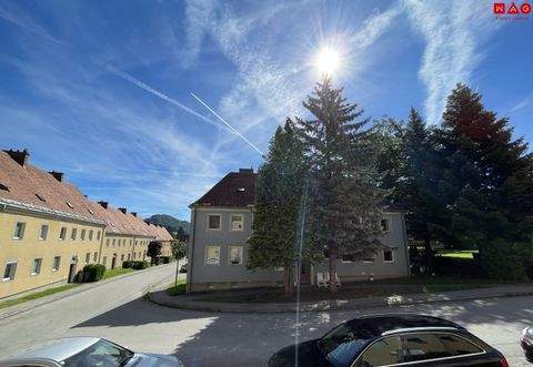 Traisen Wohnungen, Traisen Wohnung mieten