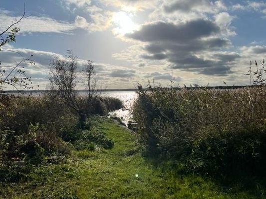 Achterwasser 100m entfernt