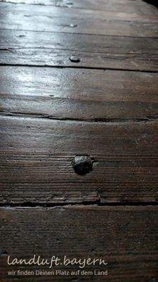 Holznägel im alten Schlafzimmerboden.jpg