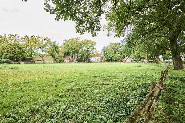 Impression Quelkhorn