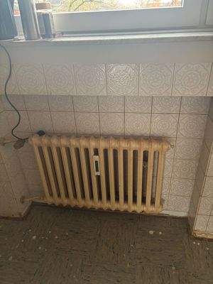 WhatsApp Image 2025-11-14 at 17.33.20 (1)