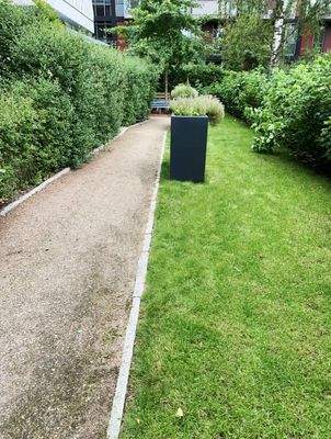 Eindruck vom rückwärtigen Grünbereich im Sommer