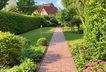 Blick in den Garten