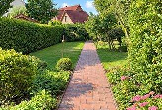 Blick in den Garten
