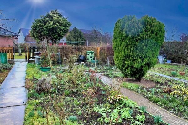 Garten Bild 2