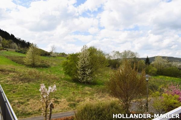 Blick im Freien 1
