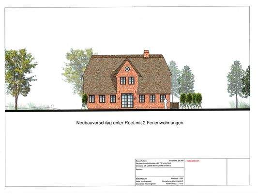 Neubauvorschlag unter Reet - Südseite