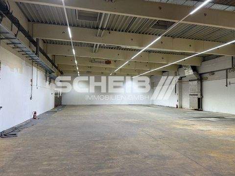 Schwäbisch Hall Halle, Schwäbisch Hall Hallenfläche