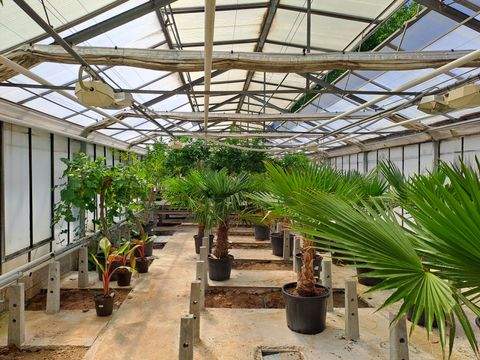 Wiesbaden Halle, Wiesbaden Hallenfläche