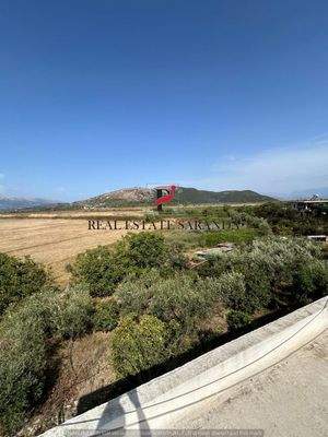 WhatsApp Image 2024-09-06 at 13.20.59 (45).jpeg