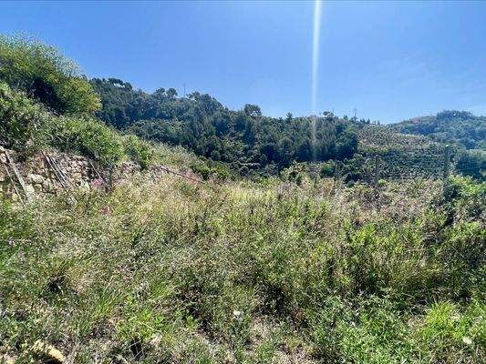 CA910_24 TERRA ITALIA IMMOBILIEN_LIGURIEN_CAMPOROS