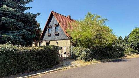 Halle Häuser, Halle Haus kaufen