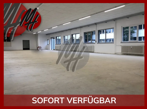 Eschborn Halle, Eschborn Hallenfläche