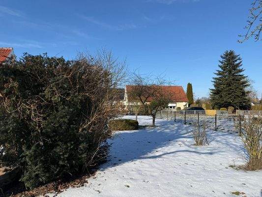 WhatsApp Image 2026-02-19 at 17.59.52 (6).jpeg