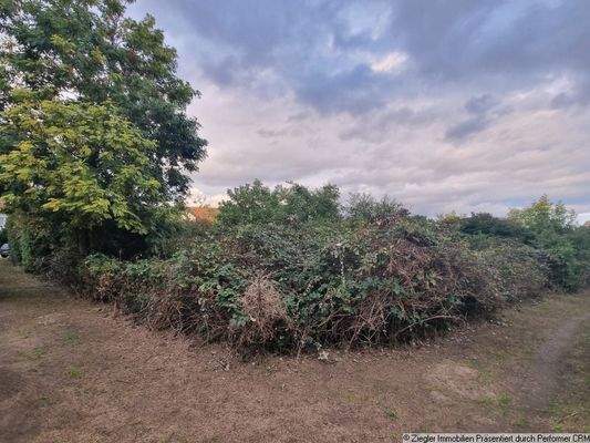 Grundstücke MA-Seckenheim