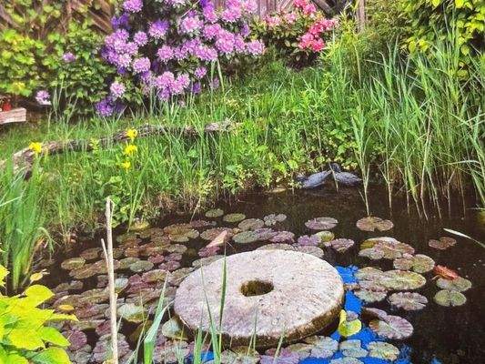 Gartenteich u.a. mit Goldorfen