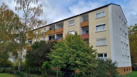 Ingelheim Wohnungen, Ingelheim Wohnung kaufen