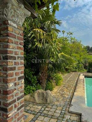 Sichtachse im Palmengarten