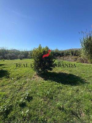 WhatsApp Image 2025-10-30 at 11.44.15 (5).jpeg