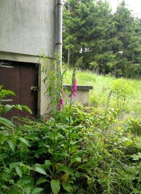 Geiersberg  – 98528 Suhl-Goldlauter