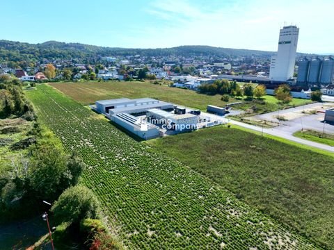 Mannersdorf am Leithagebirge Grundstücke, Mannersdorf am Leithagebirge Grundstück kaufen