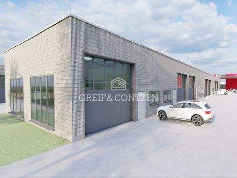 Hürth Halle, Hürth Hallenfläche