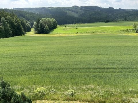 Schwarzenbach a.Wald Wohnungen, Schwarzenbach a.Wald Wohnung kaufen