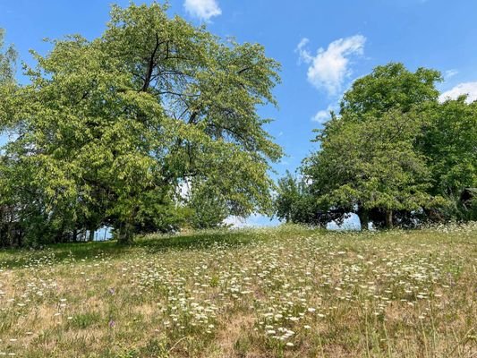 Garten Blickrichtung Feldrand