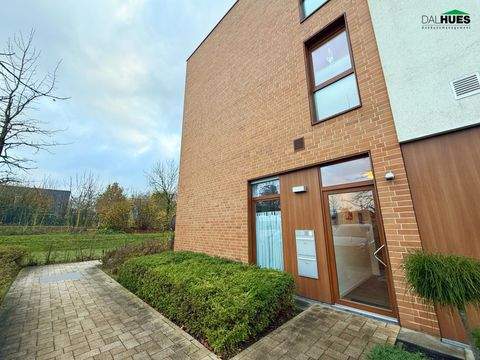 Borken Wohnungen, Borken Wohnung mieten