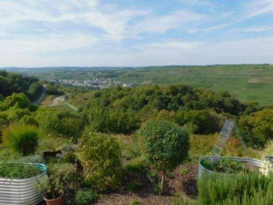 BB32 Blick i.d. Garten