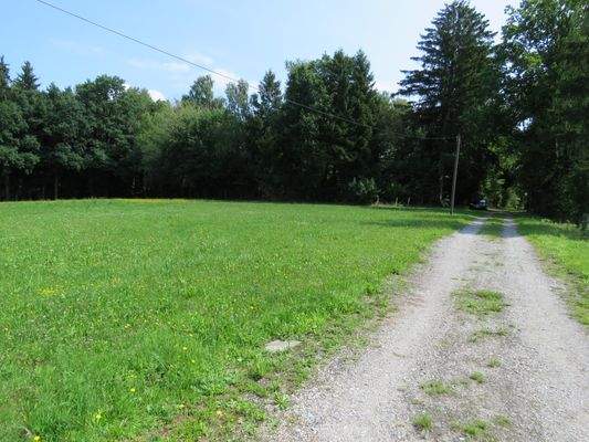 gute geschotterte Zufahrt 