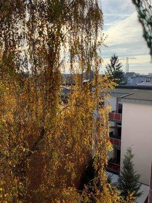 Ausblick Gartenseite 