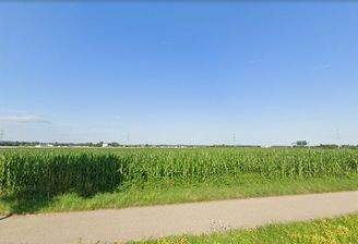 Flurstück 10.674 m2 mit Mais.jpg