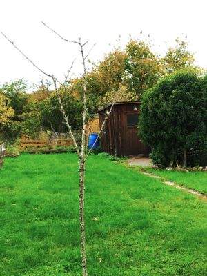 Garten (4)